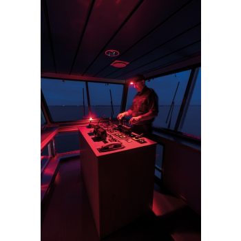 03.5438 - NIGHT VIEW - Lampka na głowę COB LED z białym i czerwonym światłem - z ładowarką