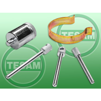 S0000479 - Blokada rozrządu Citroen Peugeot 2.7 V6 HDI