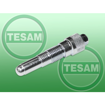 S0001309 - Sworzeń blokady wału korbowego Volkswagen / VW / Audi - 2,4 / 3,0 / 3,2 / 4,2 / 5,2 FSi TFSI