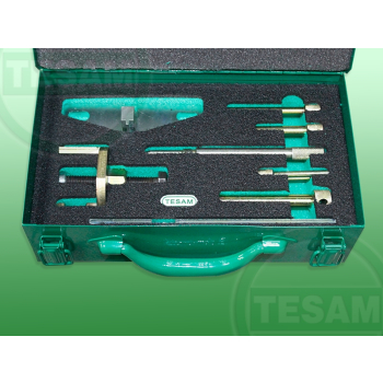 S0000145 - 1.8, 2.5 D / TD / TDDi / TCI - Ford - Blokady paska rozrządu